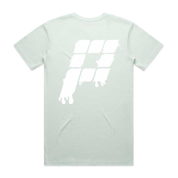 The Fitness Portal Merch - Mens Seafoam Staple Tee (XS)